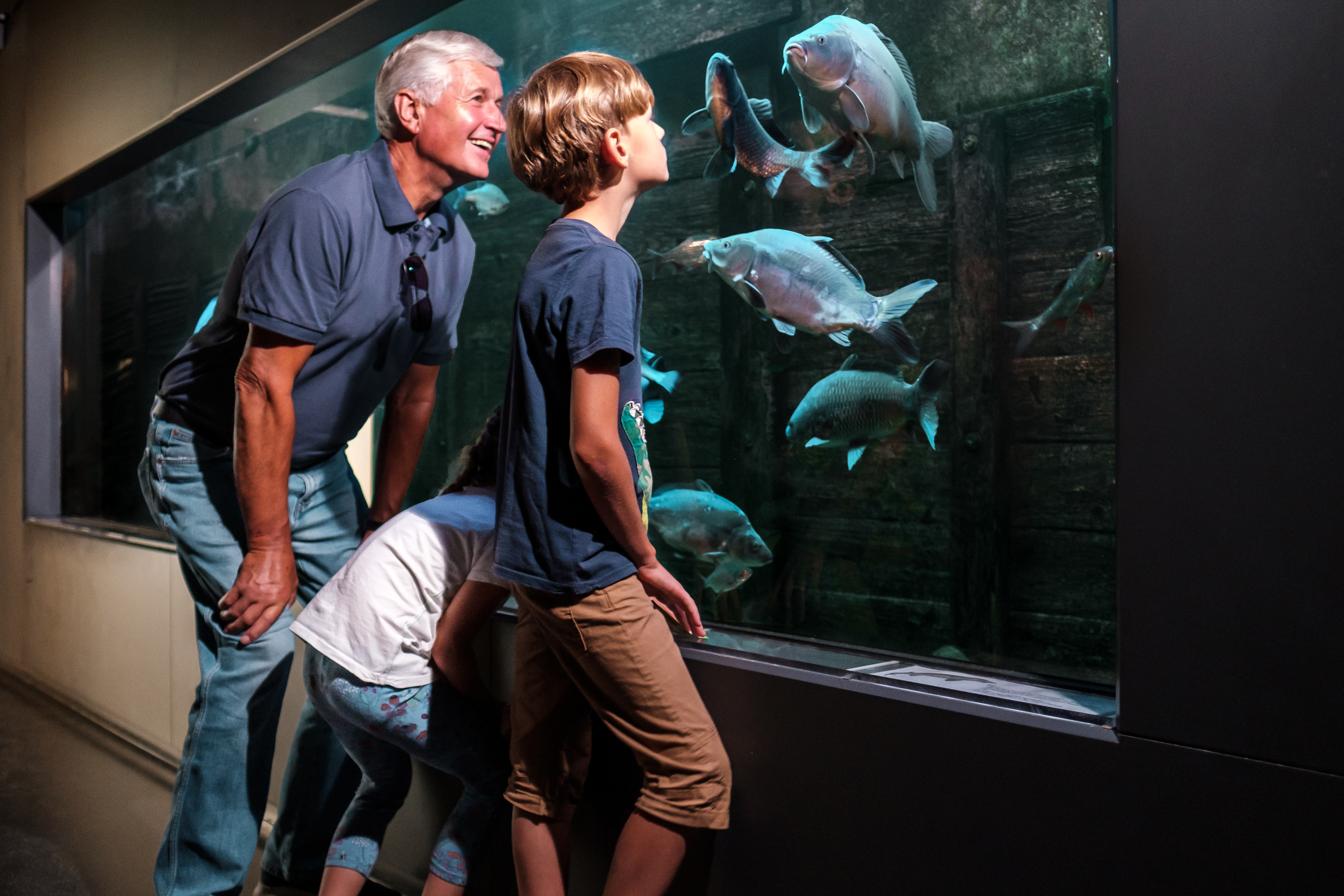 Menschen stehen vor einer Scheibe hinter der sich Fische befinden