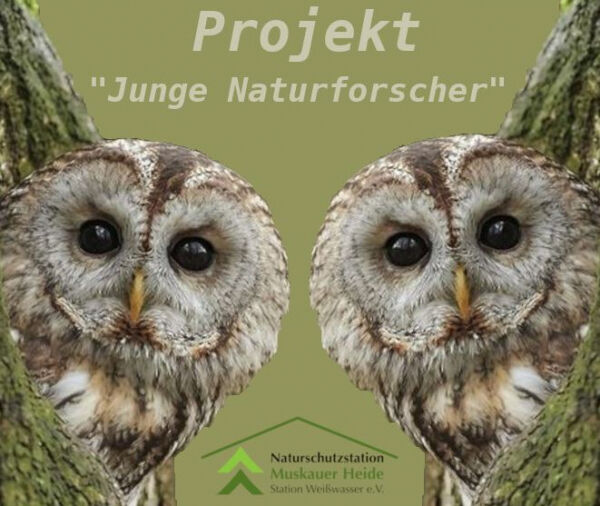 Titelbild