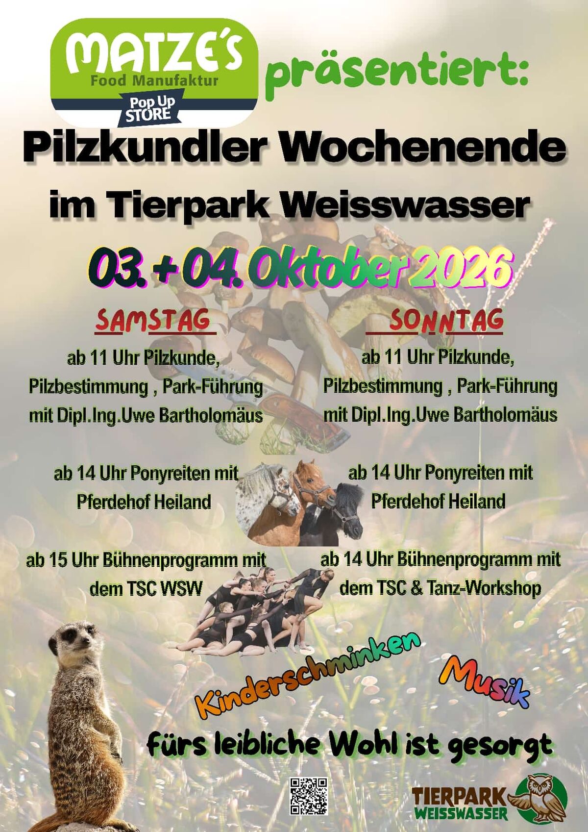 Titelbild