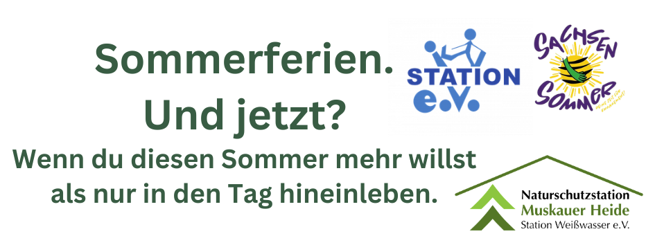 Titelbild