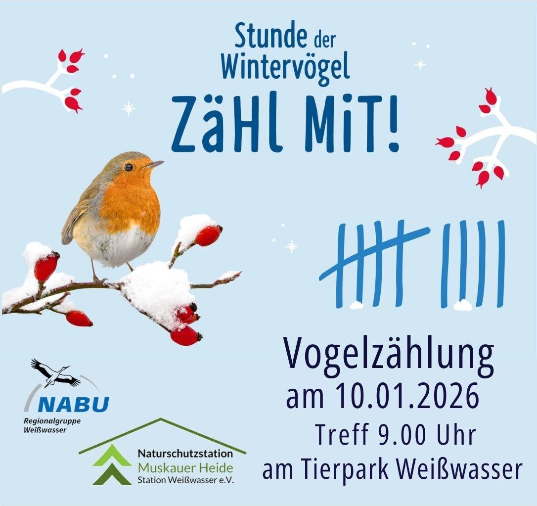 Titelbild Veranstaltung Vogelzählung