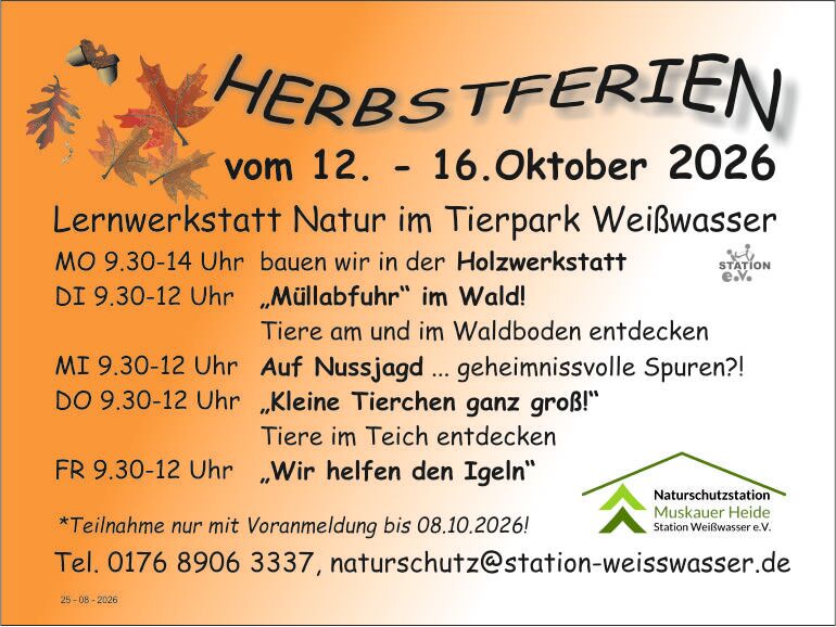 Titelbild Veranstaltung Aktiv-Natur-Woche / Holzwerkstatt – Wir bauen Nistkästen