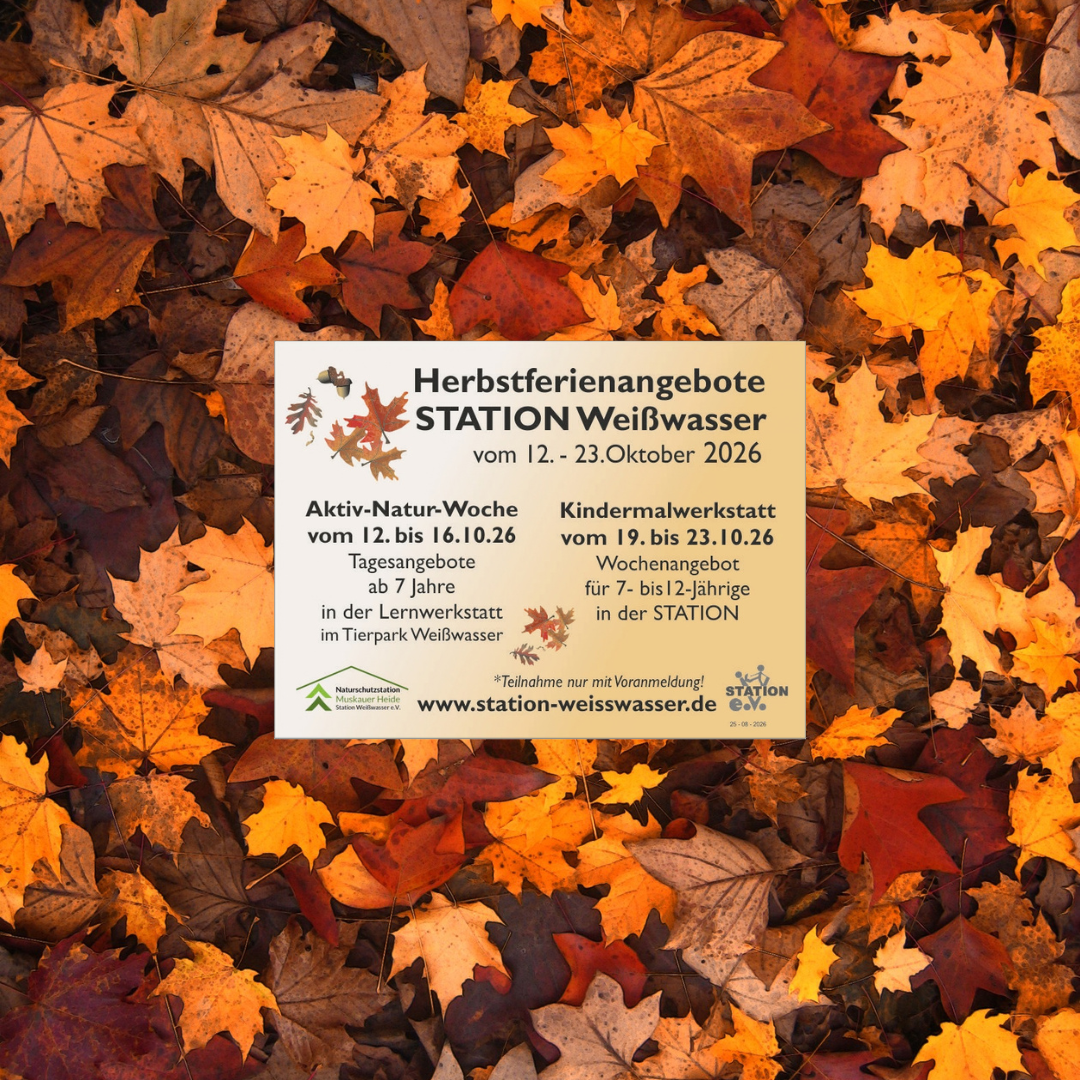 Titelbild